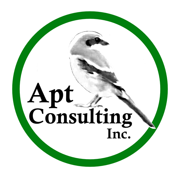 Apt Consulting Inc.